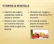 VITAMINS AND MINERALS PowerPoint Presentation Notes