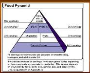 Nutrition in Childhood and Adolescence PowerPoint Presentation Notes