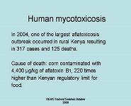 Mycotoxins and the food chain PowerPoint Presentation Notes
