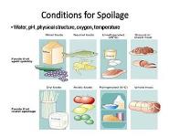 Food borne diseases PowerPoint Presentation
