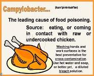 Food and Kitchen Safety PowerPoint Presentation Notes