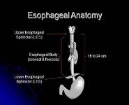 Esophageal Disorders PowerPoint Presentation Notes