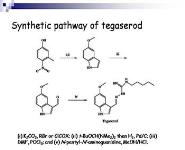 Irritable Bowel Syndrome PowerPoint Presentation Notes