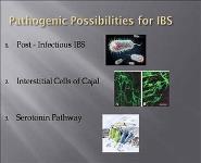 Pathogenesis of IBS PowerPoint Presentation Notes