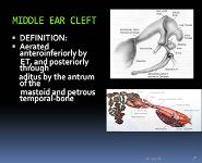 BASIC EAR ANATOMY PowerPoint Presentation Notes