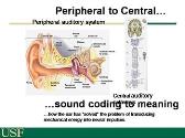 Hearing Loss in the Geriatric Population