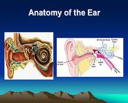 Ear Disorders PowerPoint Presentation Notes