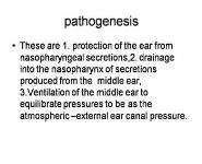 EAR INFECTIONS PowerPoint Presentation
