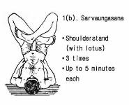 Classic Asanas - Main Yoga Postures PowerPoint Presentation