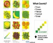 Leading a Healthy Lifestyle PowerPoint Presentation