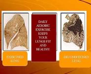 Cardiorespiratory Fitness PowerPoint Presentation