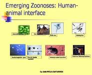 Emerging and Re-emerging Infectious Diseases PowerPoint Presentation