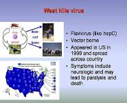 Viral pathogenesis PowerPoint Presentation