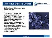 Infectious Diseases