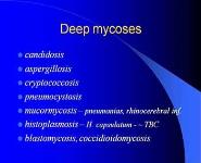 Infectious Diseases PowerPoint Presentation