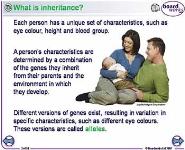 Inherited Diseases PowerPoint Presentation