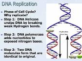 DNA: The Genetic Material