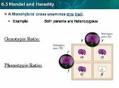 Mendel and Heredity