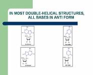 DNA STRUCTURE PowerPoint Presentation