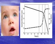 Intrapartum Fetal Monitoring PowerPoint Presentation