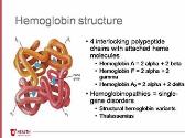 Hemoglobinopathies in Pregnancy