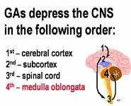 Anesthetics PowerPoint Presentation