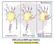 HYPNOTICS PowerPoint Presentation