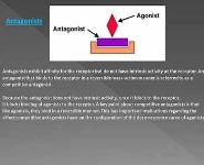 Drug Receptors PowerPoint Presentation
