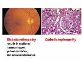 Anti-diabetic Drugs