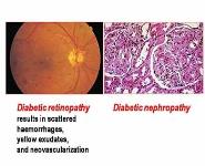 Anti-diabetic Drugs PowerPoint Presentation Notes