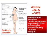 Drugs Acting on Respiratory System PowerPoint Presentation
