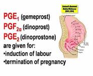Autacoids and their pharmacological modulation PowerPoint Presentation