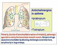 Anticholinergic Drug PowerPoint Presentation