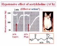 General Pharmacodynamics PowerPoint Presentation