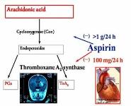Introduction to Pharmacology PowerPoint Presentation Notes