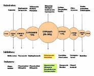 General Pharmacokinetics PowerPoint Presentation