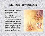 General principles of pharmacology PowerPoint Presentation