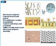 Pharmacogenomics and personalized medicines PowerPoint Presentation