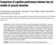 Template Medical Notes