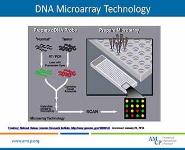 Personalized Medicine and Pharmacogenomics PowerPoint Presentation