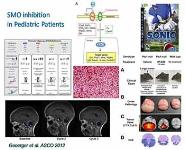 Clinical trials in Europe PowerPoint Presentation