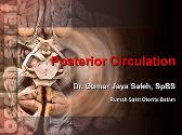 Posterior Sirculation