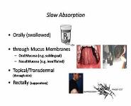 Pharmacology Basics PowerPoint Presentation