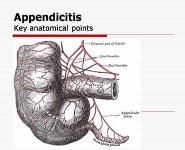 Appendicitis in children PowerPoint Presentation