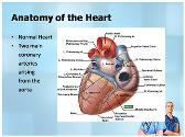 Anatomy of the Heart and Lungs and Thoracic Surgery
