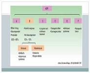 ADR Classification PowerPoint Presentation