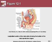 Care of the Patient with a Reproductive Disorder PowerPoint Presentation