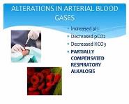 MATERNAL PHYSIOLOGY PowerPoint Presentation