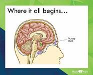 Look at me now PowerPoint Presentation