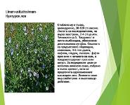 BOTANIC PowerPoint Presentation
